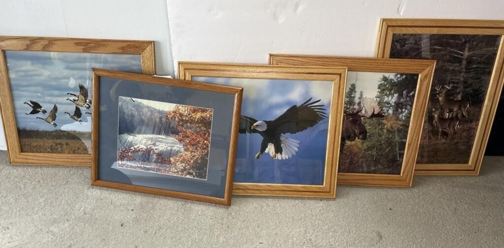 5 OUTDOOR AND WILDLIFE PRINTS