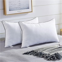 2 Pack Standard Pillows Set