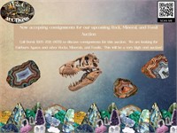 Accepting Consignments: Rocks, Minerals & Fossils