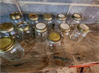 Pint Canning Jars (12)