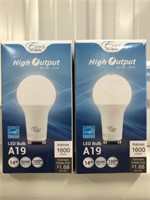 2-A19 LED LIGHT BULBS