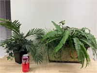 Two artificial plants