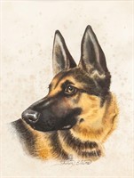 Litho on Paper German Shepherd by Sharon Blaine