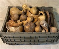 Tote Gourds Basket & Wood Bowls