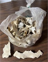 Bag of Animal Bones and Bone Shards