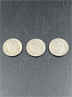 Buffalo Nickels (3)