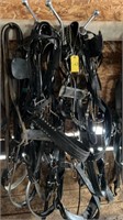 Set of harness