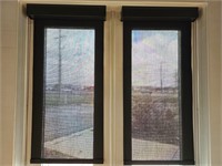 Two 21" Window Shades