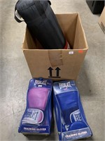 Boxing Gloves and Small Punching Bag