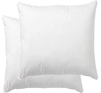 Set of 2 Euro Pillow Inserts - 26x26