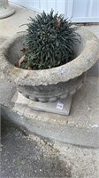 Concrete flower pot