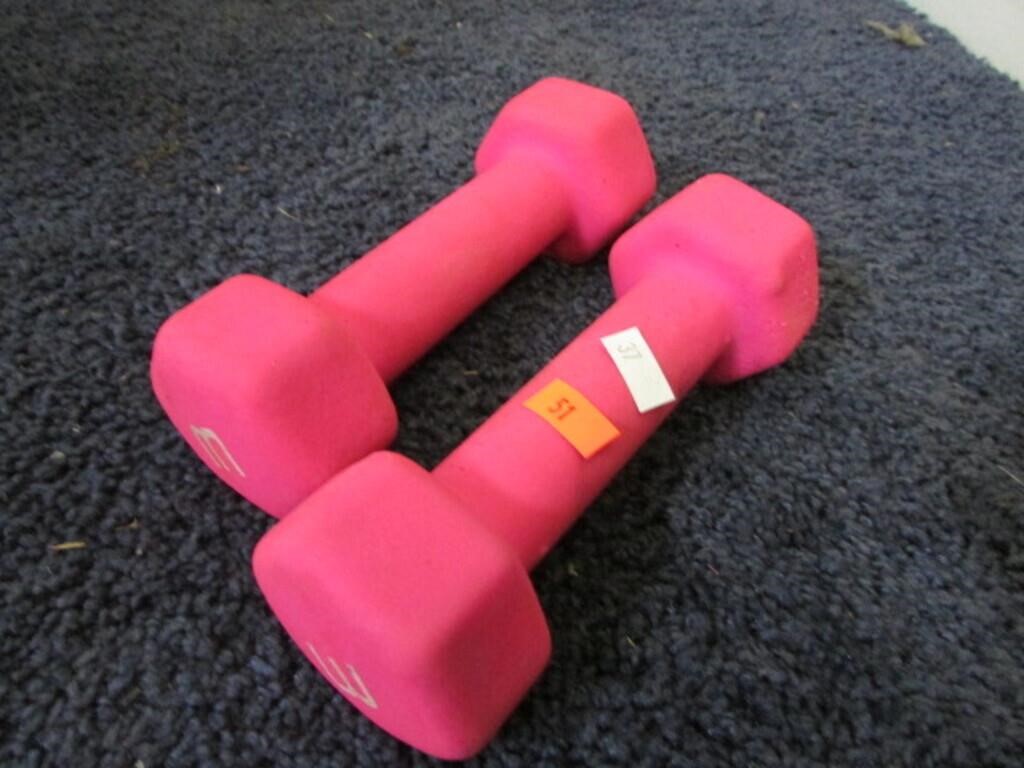 2- 3LB HAND WEIGHTS