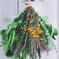 123 Pcs Mixed Real Dried Eucalyptus Stems - Lavend