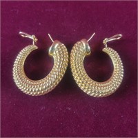 14k Gold Earrings 0.37oz