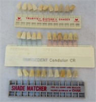Dental Lot Fake Teeth for Shading Matching Creepy!