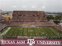 Texas A&M University Kyle Stadium