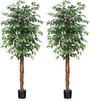 $160 2PK 6FT Silk Artificial Ficus Tree