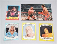 LOT OF MISCELLANEOUS WRESTLING CARDS INCLUDING BRE