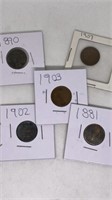 (5) Indian head pennies