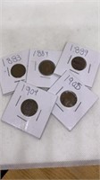 (5) Indian head pennies