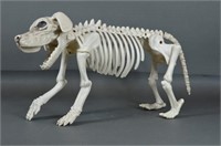 Halloween Dog Skeleton
