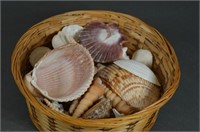 Basket Full of Assorted Shells