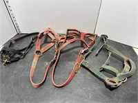 Lot of horse reins