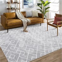 Extra Large Shag 10x13 Area Rug