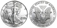 1988 Silver Eagle 999 1 Oz Silver