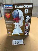 Lindberg Brain skull science kit