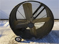 Large green fan