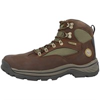 Timberland Men's 15130 Chocurua Trail GTX