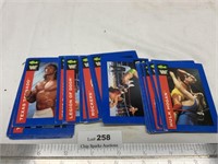 1991 Classic WWF Wrestling Trading Cards