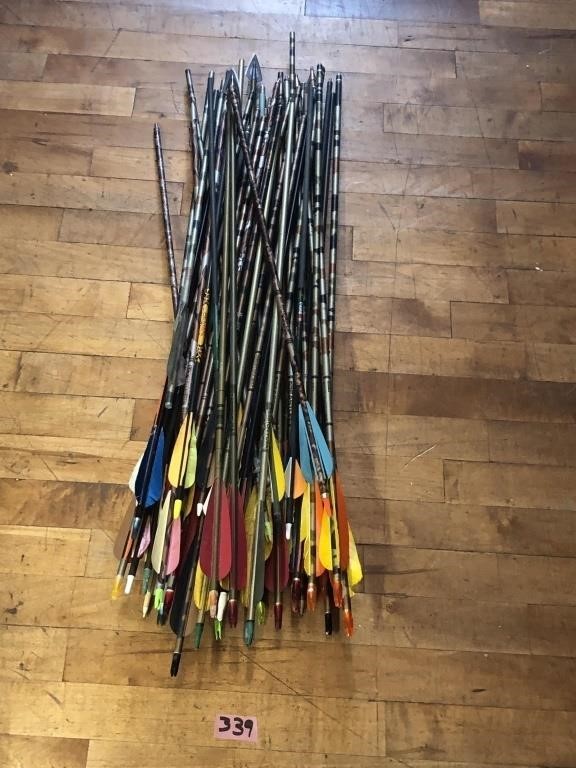 Lot of Assorted Arrows