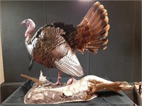 Vintage Turkey Mount