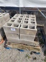 30  concrete blocks on pallet.