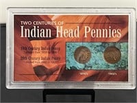 2 Centuries of Indian Head Pennies
