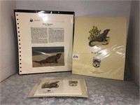 WWF Collector Stamp Rock Iguana