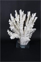 Home Sense Artificial White Coral Sculpture