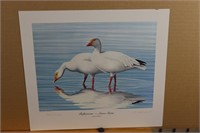 "Reflections-Snow Geese" by RL Kothenbeutel 7864/2