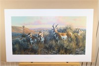 "Water Rights-Pronghorn Antelope" by Michael Sieve