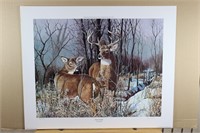 "Elusive Trophy-Whitetail" by Jack Paluh 94/750 PA
