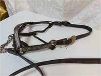 Show Halter with Lead
