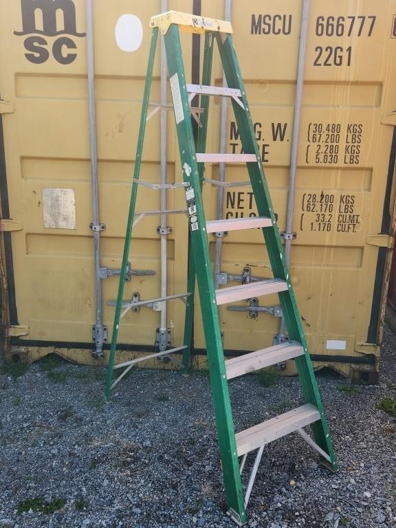 7 ft Ladder