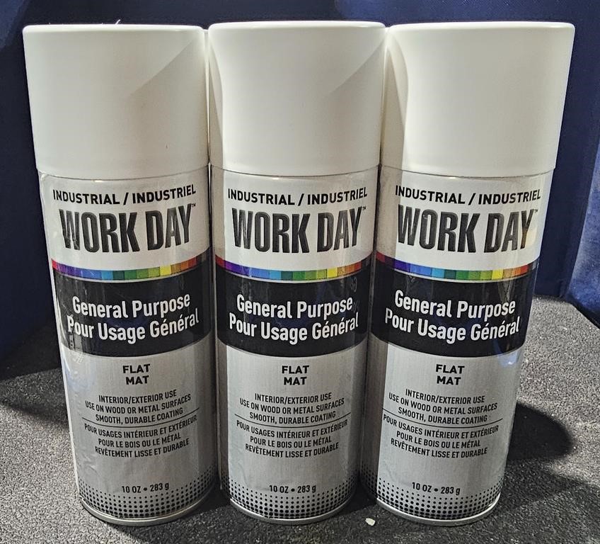 6 Work Day general purpose spray paint