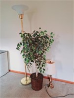 Artificial Ficus Tree, Floor Lamp, Table Lamp