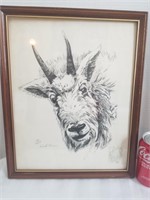 limited edition signed mountain goat sketch