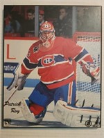 picture of Patrick Roy