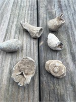 Excavated fired Civil War bullets