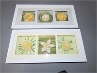 2 Framed Floral Shadow Boxes